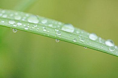 《怪物猎人崛起：曙光》新版本上线 补丁说明发布